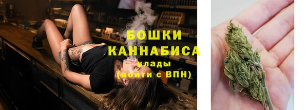 мдпв Мегион