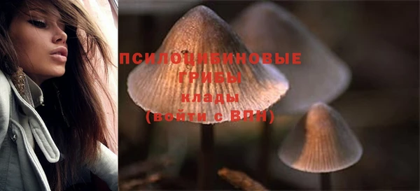 мдпв Мегион