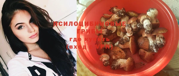 PSILOCYBIN Дубна